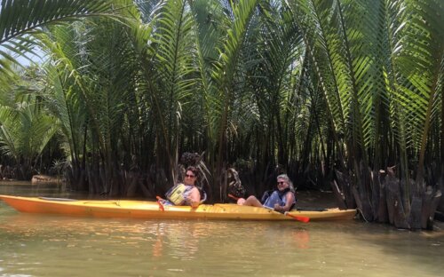 Easy Paddle in Mangrove Forest